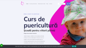 Portofoliu-lauraotelea