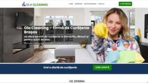 Portofoliu-olacleaning